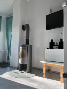 a living room with a fireplace and a tv at Maja am See in Biersdorf am See