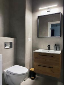 bagno con servizi igienici, lavandino e specchio di IgoAparts Wroblewskiego a Łódź