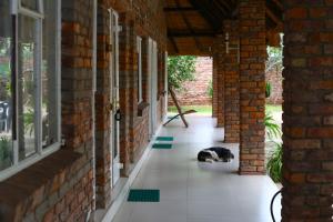 Gallery image of Mawuya Lodge in Victoria Falls