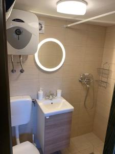 ein Badezimmer mit einem Waschbecken, einem WC und einem Spiegel in der Unterkunft Holiday Home Anka in Gospić