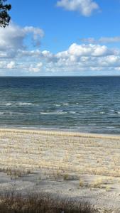 ルブミンにあるFerienwohnung "Am Walde"の海を背景に広がる砂浜