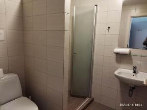 y baño con ducha, aseo y lavamanos. en Hotel Pajurio vieskelis en Klaipėda