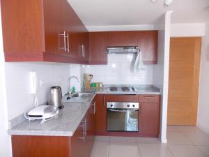 eine Küche mit Holzschränken und einer Arbeitsplatte in der Unterkunft Santiago WORLD in Santiago