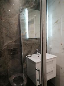 a bathroom with a shower and a toilet and a sink at Apartament Mielczarskiego in Elblag