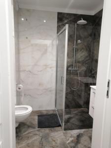 y baño con ducha y aseo. en Apartament Mielczarskiego en Elblag