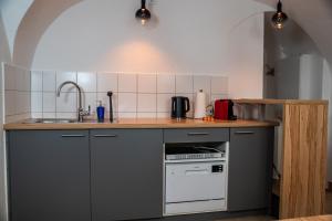 a kitchen with a counter with a sink and a stove at MIA Lifestyle Appartements in Innsbruck