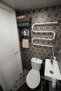 a small bathroom with a toilet and a sink at Tiny Village Latvia in Bērzciems