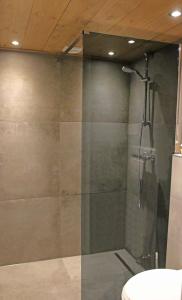 een douche met een glazen deur in de badkamer bij Vakantiehuis Buitenhuis c in Biezenmortel