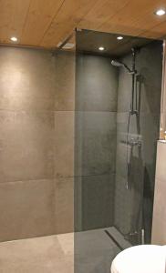 a shower with a glass door in a bathroom at Vrijstaand vakantiehuis Weideblik in Biezenmortel