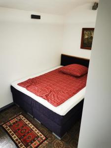 a bedroom with a bed with red sheets and red pillows at Drachenhöhle in Oldenburg