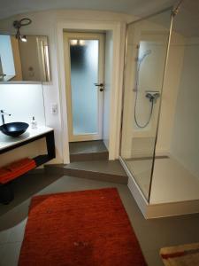 uma casa de banho com um chuveiro e um lavatório com um tapete vermelho em Boardinghouse Wiebke - Ferienwohnung Oldenburg em Oldenburg