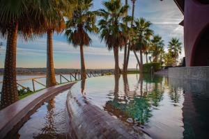 a swimming pool with palm trees and a body of water at Montargil Monte Novo in Montargil