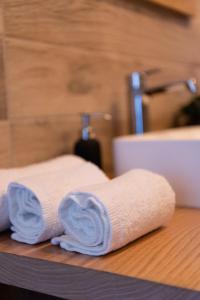 un rotolo di asciugamani da un bancone in bagno di BOTANIC GUESTHOUSE ESTE a Este