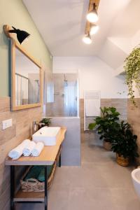 een badkamer met een wastafel en een spiegel bij BOTANIC GUESTHOUSE ESTE in Este