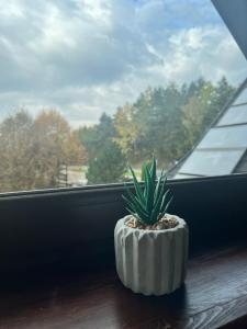 Balkon lub taras w obiekcie Zajazd Cicha Woda