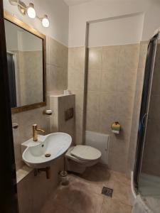 Ванная комната в Hotel Carol