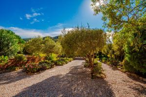 A garden outside Club Villamar - Stralitzia