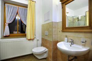 a bathroom with a toilet and a sink and a mirror at Resort Abertham - penzion Ellen in Abertamy