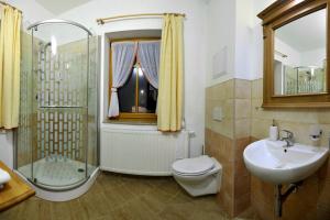 La salle de bains est pourvue de toilettes, d'un lavabo et d'une douche. dans l'établissement Resort Abertham - penzion Ellen, à Abertamy