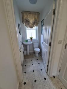 a bathroom with a toilet and a sink and a window at Large Modern Victorian Apartment in Ventnor