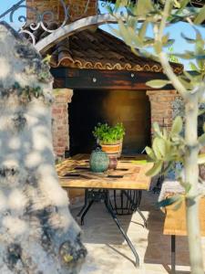 una mesa con una planta en un patio en Villa Stalla en Kastel Stari