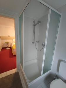 a shower with a glass door in a bathroom at Pension Forelle in Forbach