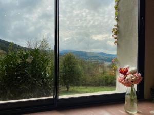 a vase of flowers sitting next to a window at Gîte Les Ebeteux in Fraize +10 photos
