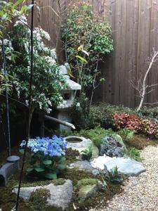 翠云間 庭院式京町屋 京都四条西院 في كيوتو: حديقة بها زهور زرقاء وسياج