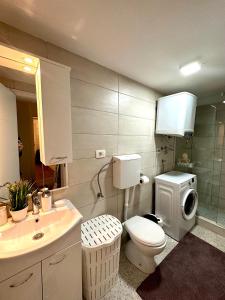 Apartment Lena Niksic tesisinde bir banyo