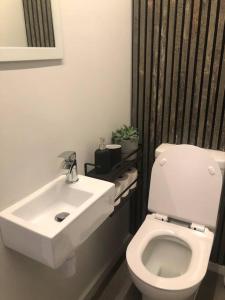 Brand new studio outhouse Putney SW15