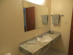 a bathroom with a sink and a mirror at Black Cat Guest Ranch in Brule Mines