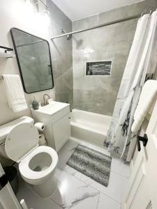 a bathroom with a toilet and a sink and a shower at Modern 3 bed 1 bath Home near downtown and UNL Lincoln in Lincoln
