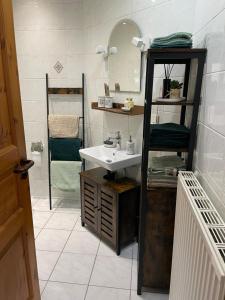 a bathroom with a sink and a mirror at Ferienwohnung in der Vulkaneifel "Opp der Holl" in Brockscheid