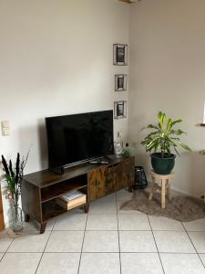 a living room with a flat screen tv on a wooden entertainment center at Ferienwohnung in der Vulkaneifel "Opp der Holl" in Brockscheid