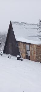 a barn with snow on the roof of it at Livada Becica in Cărbunari