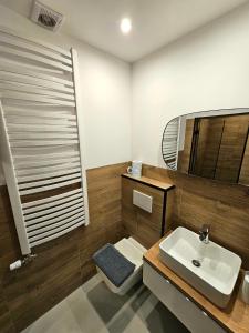 a bathroom with a sink and a mirror at Ustroń51 in Ustroń +22 photos