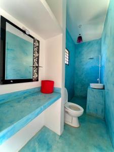 ein blaues Badezimmer mit WC und Waschbecken in der Unterkunft VICK Boutique Hotel in Banda Kuu