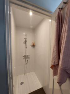 eine Dusche mit Glastür im Bad in der Unterkunft de Klaproos in Noordgouwe