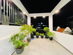 a row of potted plants on a balcony at night at Thai Van Home in Ho Chi Minh City