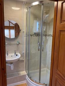 a bathroom with a shower and a sink at Whortleberry Studio B & B in Porlock