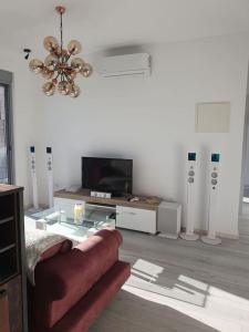 sala de estar con sofá y TV en Beautiful apartment in Tivat en Tivat