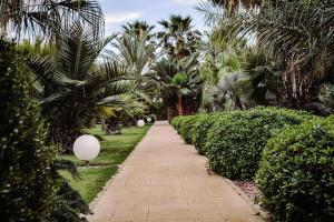 サンアントニオにあるPlaza San Antonio Hotel & Spa, Autograph Collectionの椰子の木が茂る庭園を通る小道