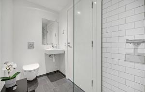 奥胡斯Amazing Apartment In Aarhus C With Wifi的配有马桶、水槽和淋浴的浴室 更多8张照片