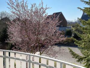 グレーミッツにあるW6 - Gästehaus Christian-Westphal-Str 60 - FERIENDOMIZIL HOLLICHの塀の横にピンクの花が咲く木