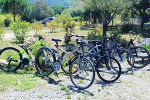 Jazda na bicykli v okolí ubytovania Domaine Pedra Llampada Gîte Cerise