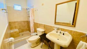 a bathroom with a sink and a toilet and a shower at Casa Bea in Tela