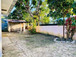 Taman di luar Casa Bea