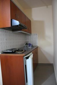 Kuchyňa alebo kuchynka v ubytovaní House Stamatis