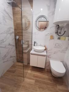 ein Bad mit einem WC, einem Waschbecken und einer Dusche in der Unterkunft Apartma LINA, Encijan D-38 in Bohinj