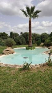 uma palmeira sentada ao lado de uma piscina azul em La Baronia em Trapani